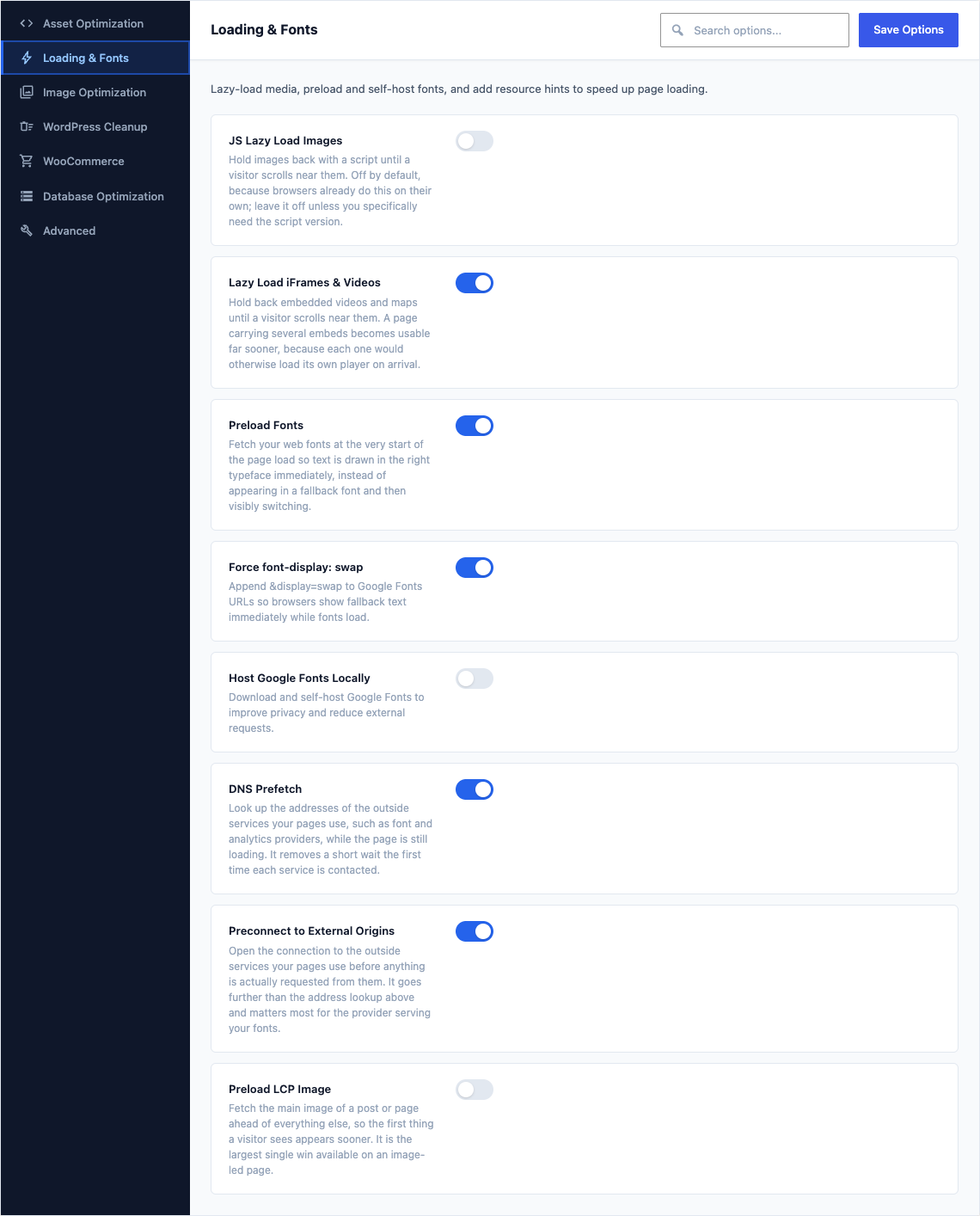 The Loading & Fonts tab of Canvas > Performance