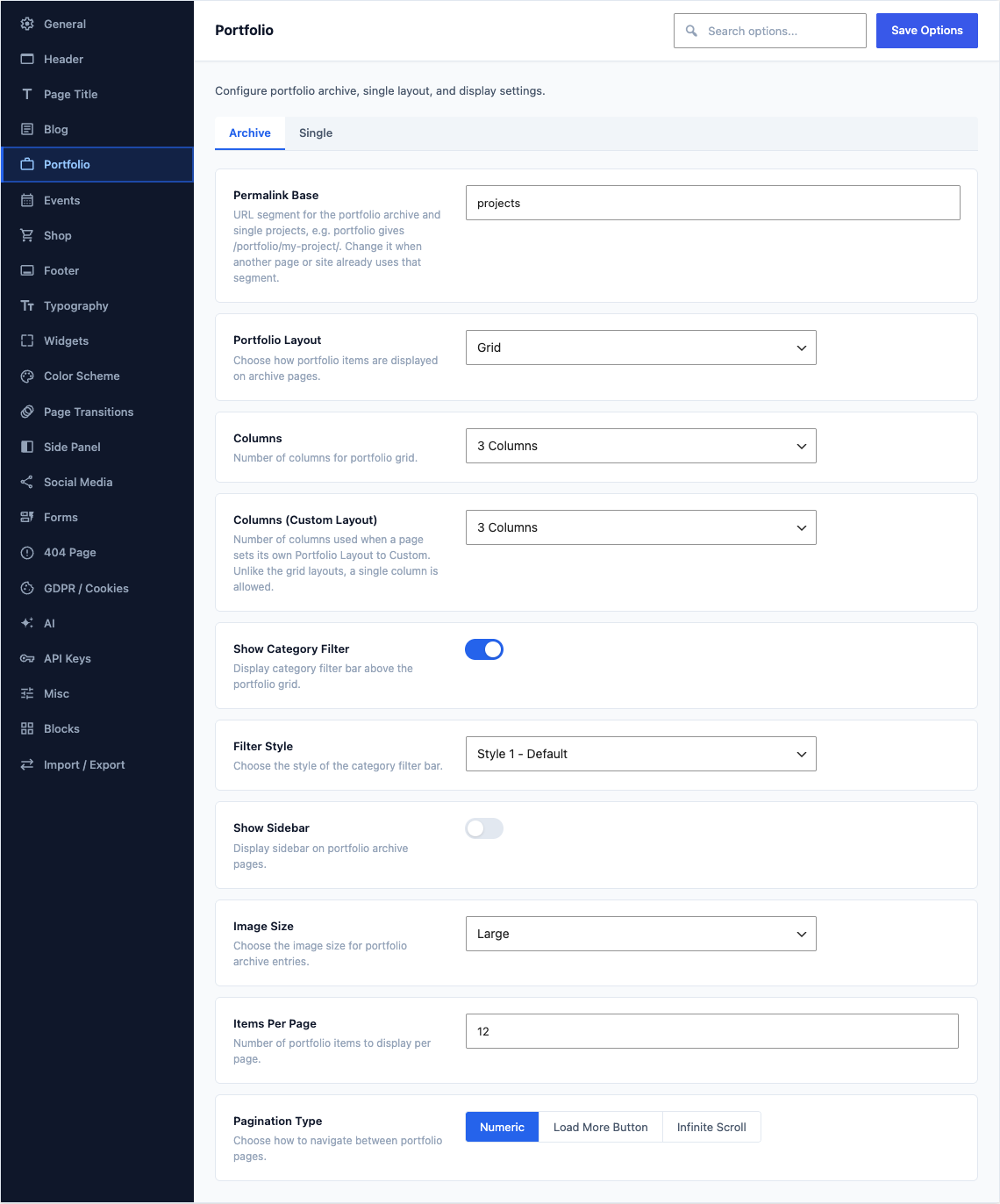 The Portfolio tab of Canvas > Theme Options