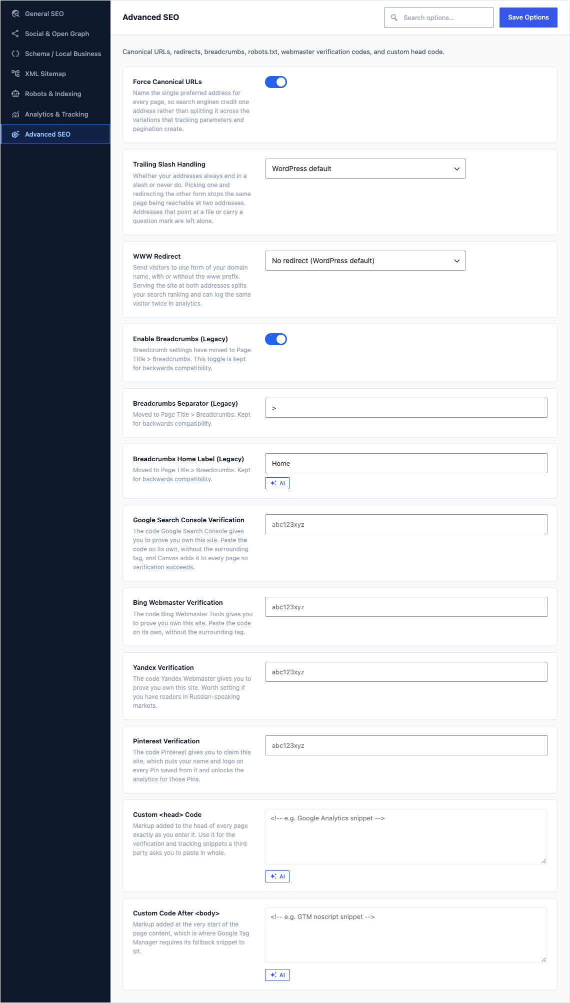 The Advanced SEO tab of Canvas > Seo